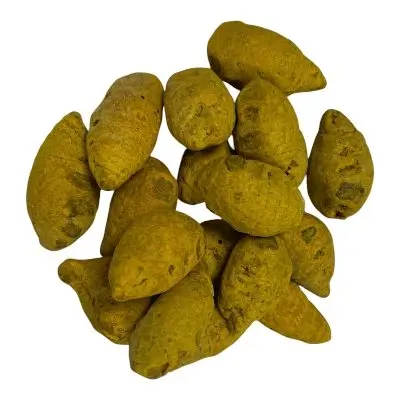 كركم ذكر ( أم الكركم )